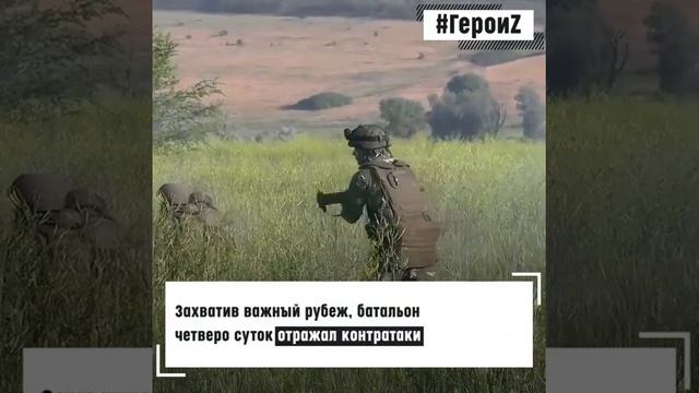 Герои Спецоперации Z