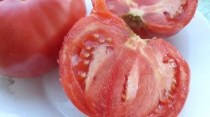 Томаты чудесные гиганты Большая красная кукла Гигантский меч Вестерлунд1-26 Восхитительный хой