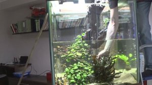 #Аквакубик Прощай, Сагиттария