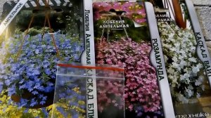 Лобелия ампельная: КАСКАД ВАЙТ, КАСКАД БЛЮ, РОЗАМУНДА - ознакомление