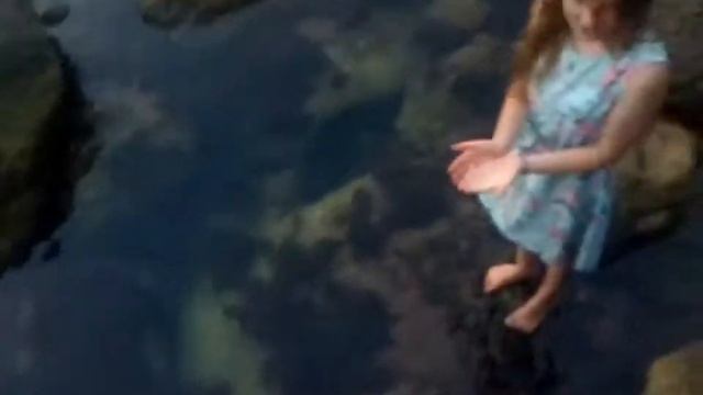 Пробую снять 24 часа ем жёлтую еду смотреть онлайн