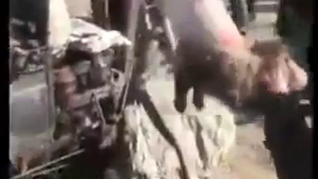 Как делают шубу из шкуры животных