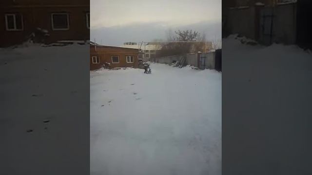 Самодельная мотособака