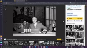 Человек или Гражданин! ООН и Декларация прав человека, какой статус выше?