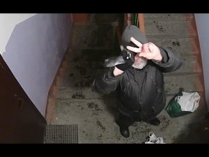 202202112054 провокатор с белочкой