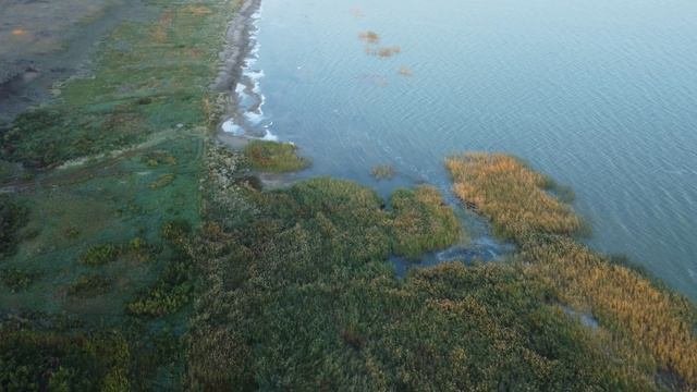 Купино, Тур по городам Новосибирской области 2023