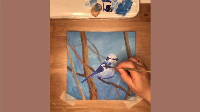 Пишем акрилом, птицу. Лазоревка белая. Мастер-класс. смотреть онлайн