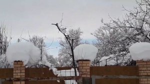 #афипский на #даче #погода там много снега в река упали деревья ? 24 01 2022