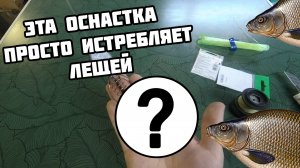 Лучший доночный монтаж  для реки с сильным течением /  Уловистые донки на леща