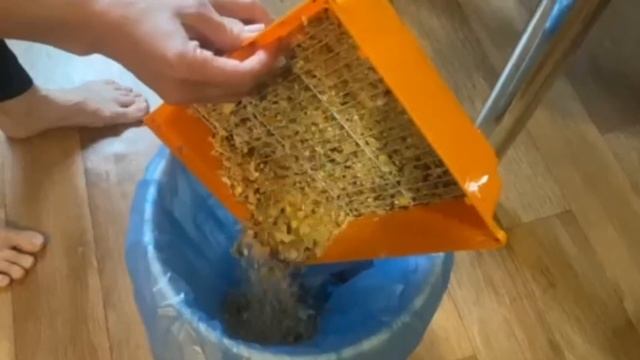 Спецобразование В гостях у Хомы ЦКРОИР г Бобруйска