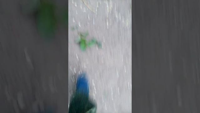 Богомольчик из Краснодара. смотреть онлайн