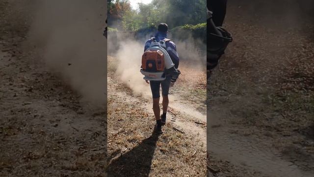 #STIHL 800-C #Уборка листьев #покостравы #Уборка запущенных участков # #днепр 098 127 18 22 Павел смотреть онлайн