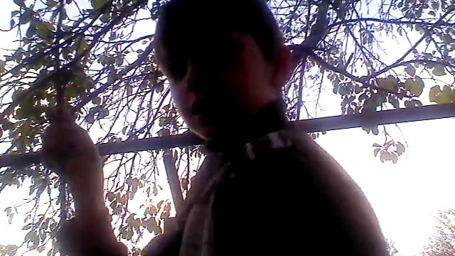 Как сделать качелю для котят!????? смотреть онлайн