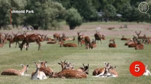 10 of the best parks and gardens in London | Top Tens | Time Out London