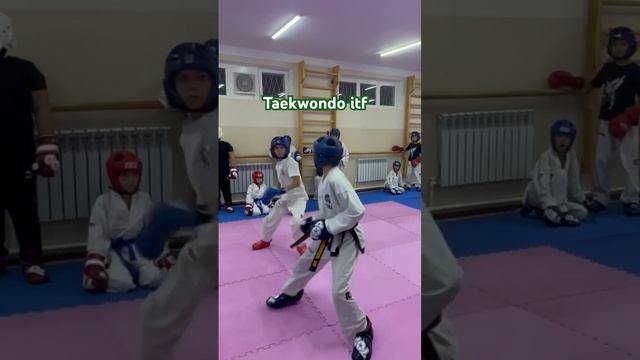 #taekwondo #uzbekistan #tashkent #taekwondosparring #trend #rek #nuraliev #sports смотреть онлайн