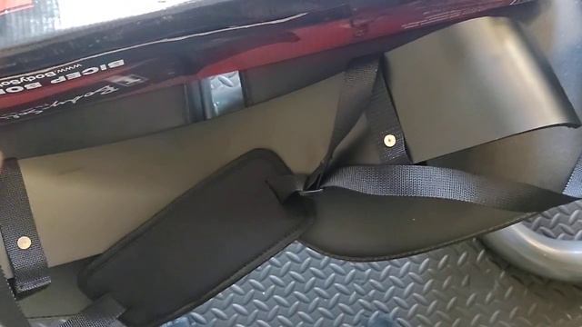 Initial Impression - Body-Solid Bicep Bomber
