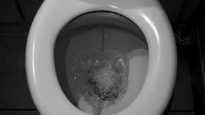 звук смыва воды в унитазе / the sound of flushing water in the toilet - ГЗ