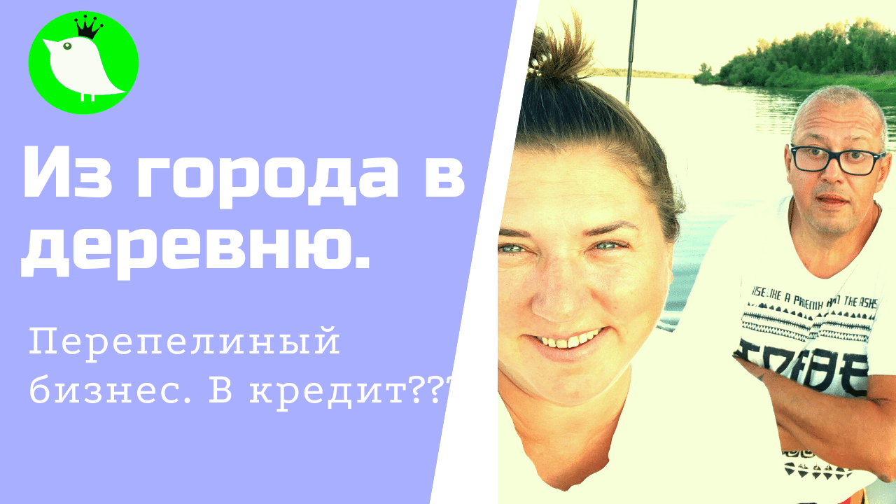 Из города в деревню. Перепелиная ферма. Бизнес с нуля в кредит?