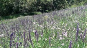 Краматорск . Пешие прогулки Краматорск сейчас