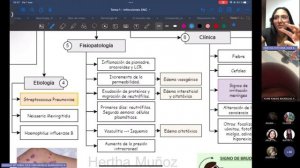 Neurología - Sesión 0 y 1 - Hertha Muñoz - 2024-1