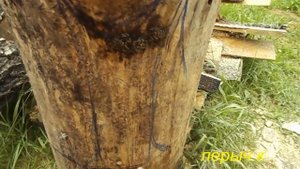 Лесная мебель ( прикроватный столик)