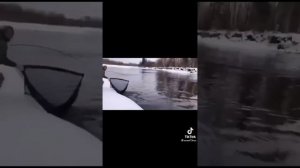 этот безумный безумный мир