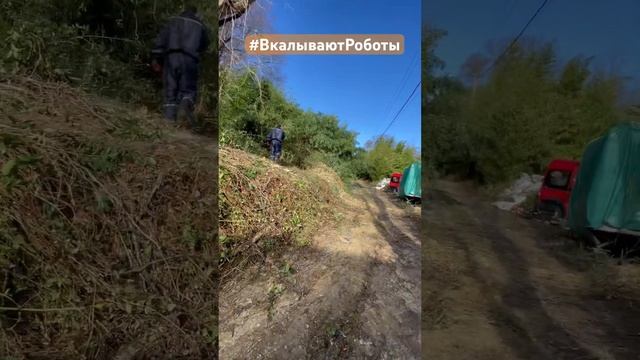 Тот случай когда техника решает! 2 часа все чисто и опрятно?? #lawn mower #ВкалываютРоботы #lawn