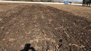 ПЧ ( плуг чизель ) - 2.2 Н с ШК ( шлейф каток ) - 2,2 для МТЗ - 1221, рыхление почвы 40 - 45 см.