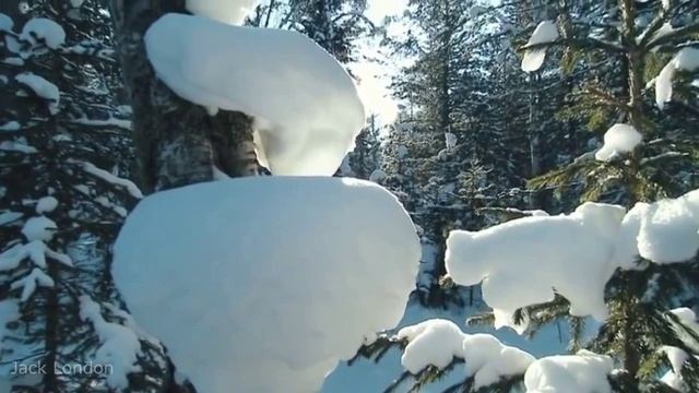 Гарик Сукачёв, Чайф, Роберт Юлдашев и Пелагея - Белые Дороги (HD 1280x720)