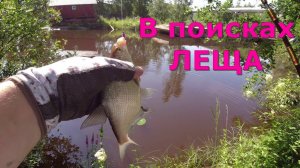 #434 #мормышинг | В поисках леща |