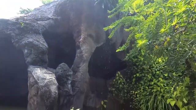 ДИНОПАРК НА ПХУКЕТЕ В ТАЙЛАНДЕ НА КАРОН БИЧ