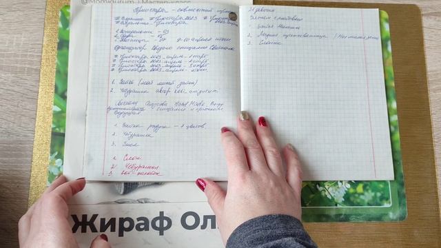 ТРИОСТАРТЫ МАЙ 2023 ГОДА. ОТЧЕТ 1. ЖИРАФ ОЛЛИ