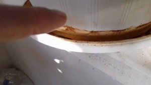 От жары сохнут бутоны но растут ветки у азалий