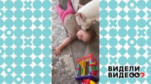 Кот, пес и младенец. Видели видео? Фрагмент выпуска от 28.05.2023