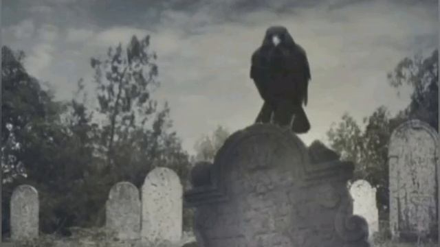 *Чёрные~вороны~004* смотреть онлайн