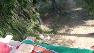 обзор домика на дереве!