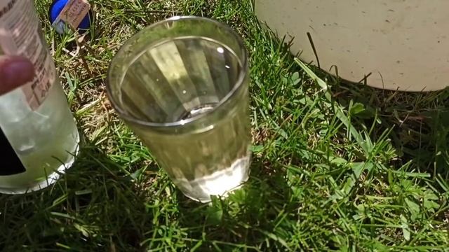 ЧЕМ ПОДКОРМИТЬ РОЗЫ. РОЗЫ ПОСЛЕ ЗИМЫ ПОДКОРМКА. Проверенный рецепт для Роз