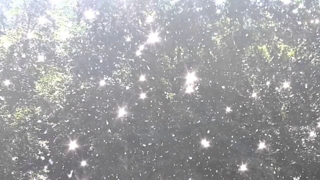 Музыка,видео,клипы. Тополя,тополя,тополя.mp4