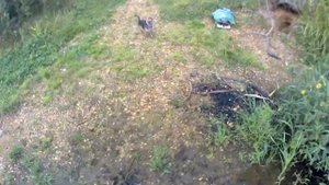 Берёзовский. Жулановские озёра. Заныр, рыба есть. Альтернативная дорога.