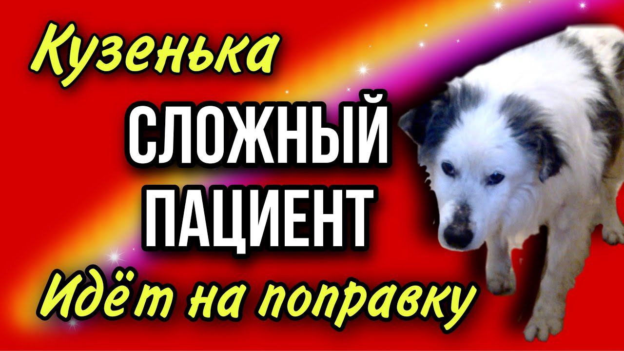 Кузенька | Самый сложный пациент
