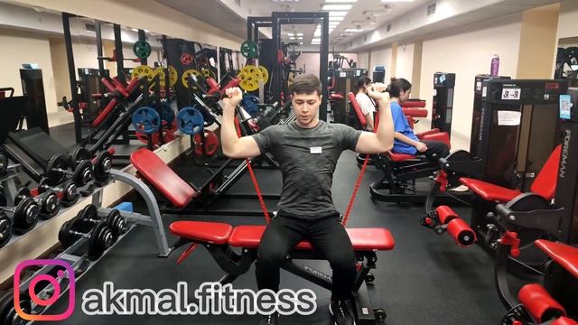 Жим сидя с эспандером- техника выполнения смотреть онлайн