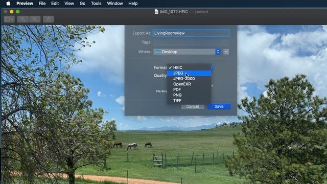 How To Convert HEIC to JPEG on a Mac смотреть онлайн
