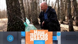 Березовый сок как супернапиток, разбавленное молоко и выбор безвредных обоев | «НашПотребНадзор»