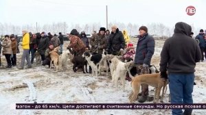 Липецкое время Отъезжее поле эфир от 20.12.2021 г.