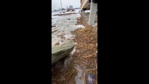 Лайфхак. Зачем пленка в каркасном доме.