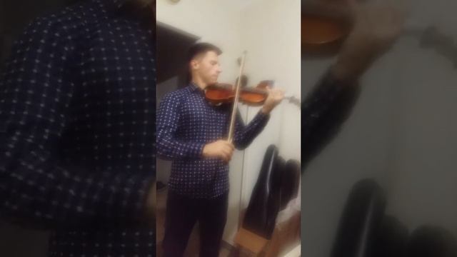 Мастеровая скрипка V. Vinogradov