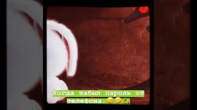 Тайная жизнь домашних животных/Кролик Снежок забыл пароль смотреть онлайн