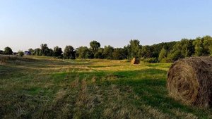 Воронежская область, село Губари