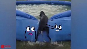 Эксперимент  машина давит предметы под колесом Experiment car vs Cola Fanta - Funny stories