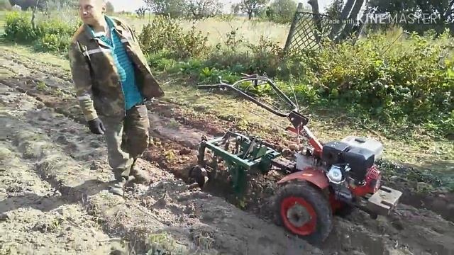 Картофелекопалка КМ-3 (модернизированная) и мотоблок УГРА.